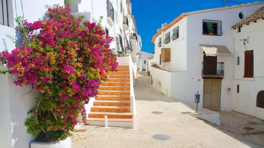 From Alicante/Benidorm: Guadalest & Altea Day Trip - Should you book it?