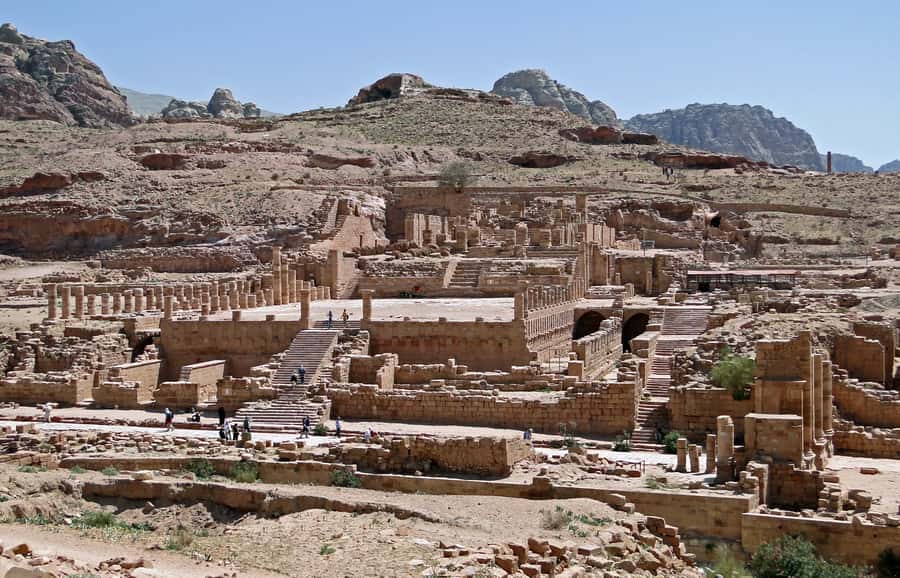 From Amman: Private Day Trip to Petra with Pickup - What your driver adds to the day