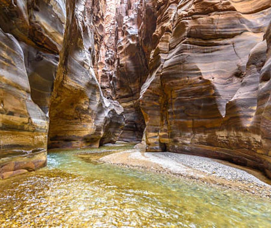 From Amman:To Al-Mujib Canyon & Dead Sea Salt Beach Day Trip - How the $97 price works in practice