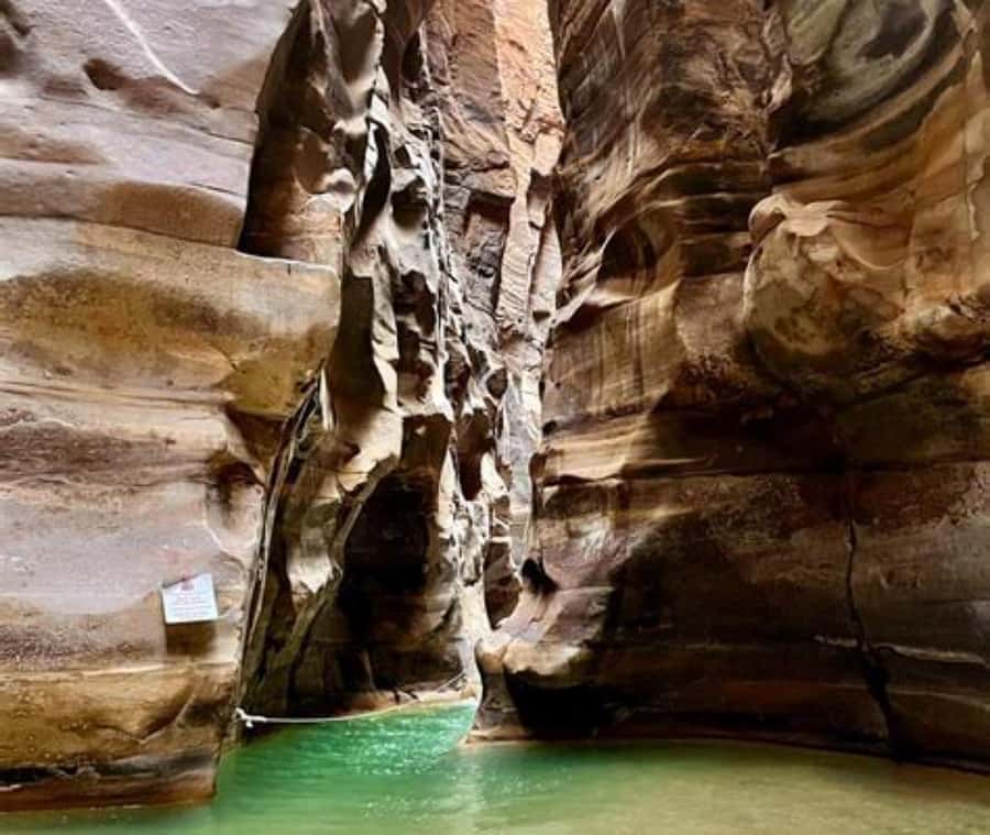 From Amman:To Al-Mujib Canyon & Dead Sea Salt Beach Day Trip - Who will enjoy this more than anyone else