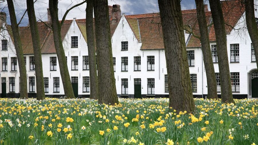 From Amsterdam: Bruges Day Trip in English with Boat Option - Canals, palaces, and the Church of Our Lady