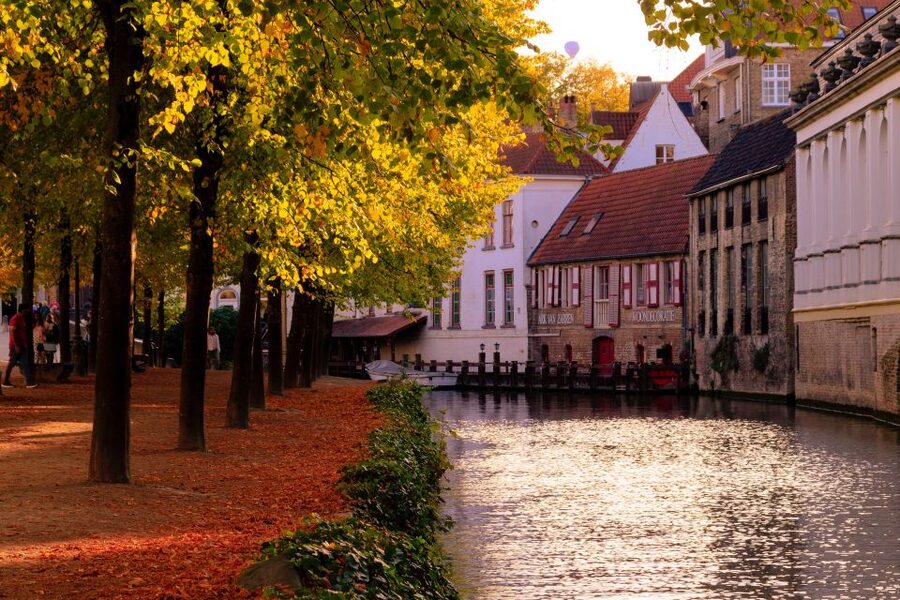 From Amsterdam: Bruges Day Trip in Spanish with Boat Option - Who should book this Bruges day trip?
