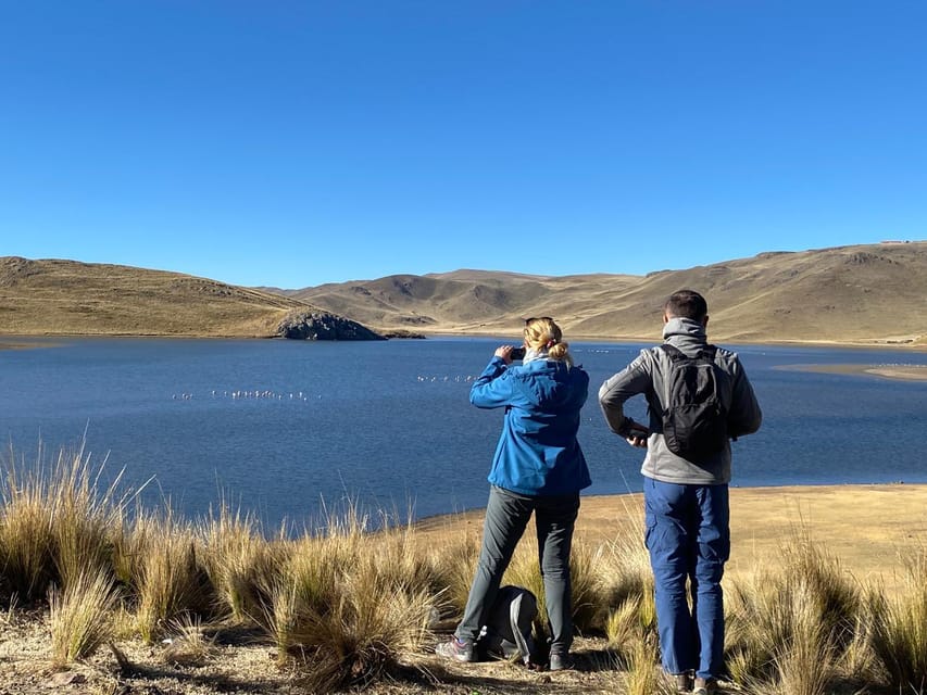 From Arequipa: Colca Canyon Day Trip with Transfer to Puno - Be clear about the final drop-off