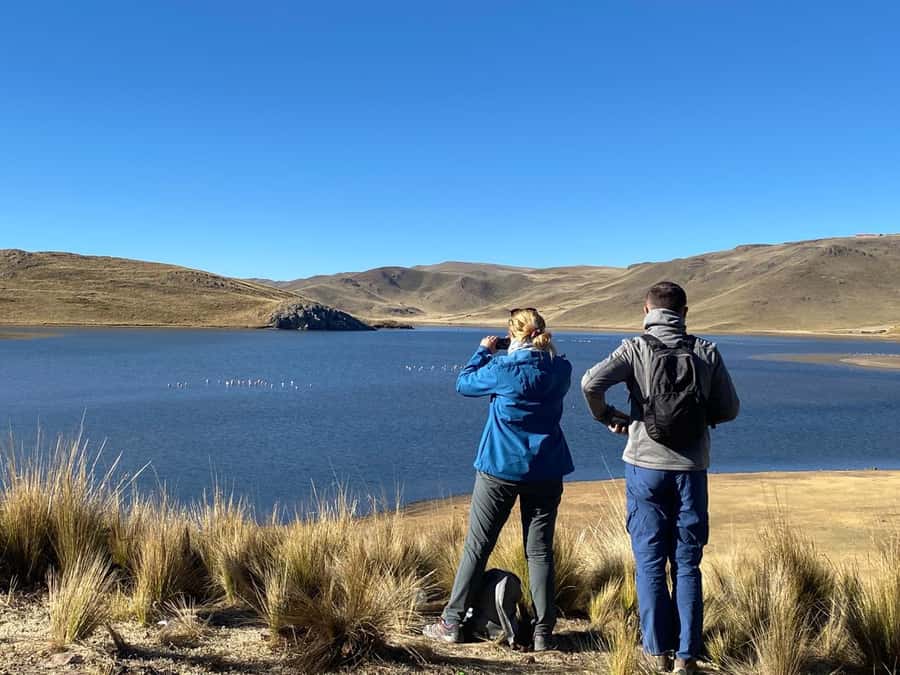 From Arequipa: Colca Canyon Day Trip with Transfer to Puno - River views, Maca, and a taste of village life