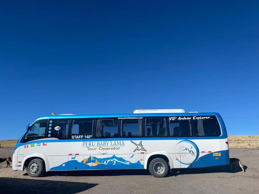 From Arequipa: Colca Canyon Day Trip with Transfer to Puno - High-altitude scenery on the road to Puno