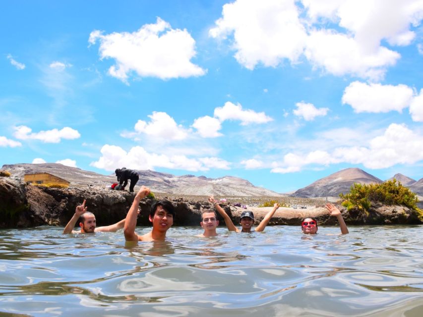 From Arequipa: Salinas Lagoon Full-Day Trip with Hot Springs - Wildlife among the volcanoes