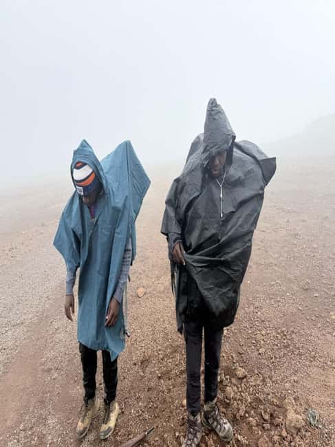 From Arusha/Moshi: Kilimanjaro Hike Marangu Route Day Trip - Maundi Crater and views toward Kenya