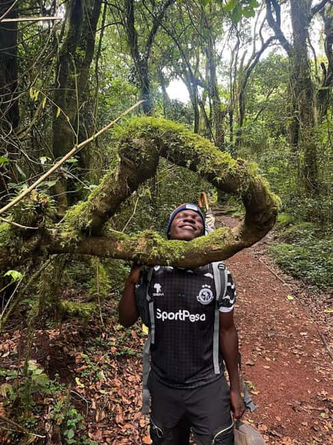 From Arusha/Moshi: Kilimanjaro Hike Marangu Route Day Trip - The descent back to Marangu Gate