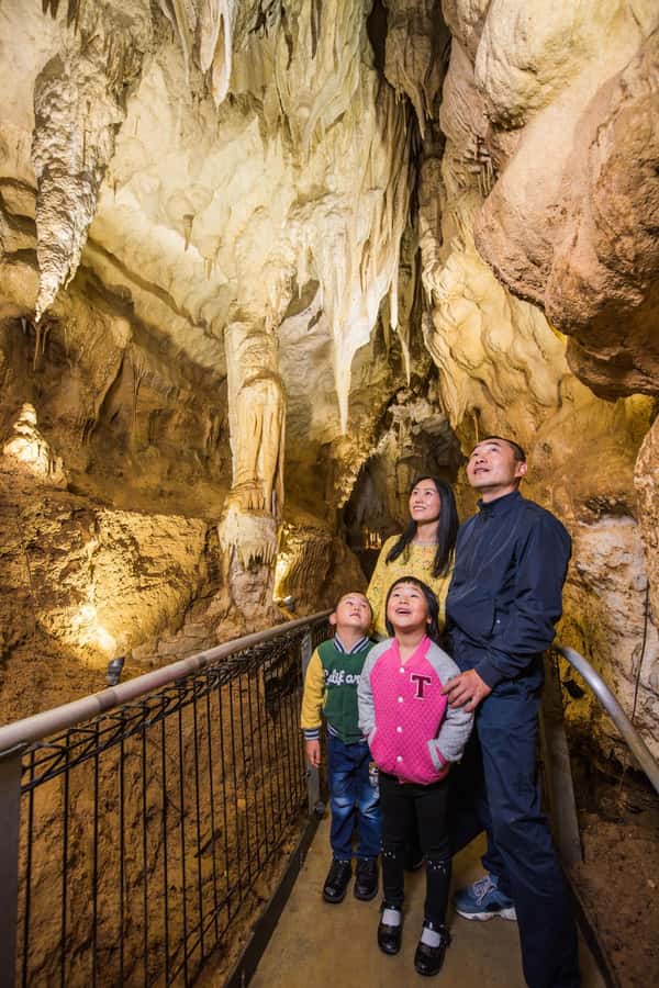 From Auckland: Day Trip to Waitomo Glow Worm Caves - Should you book the Waitomo Glowworm Caves tour?
