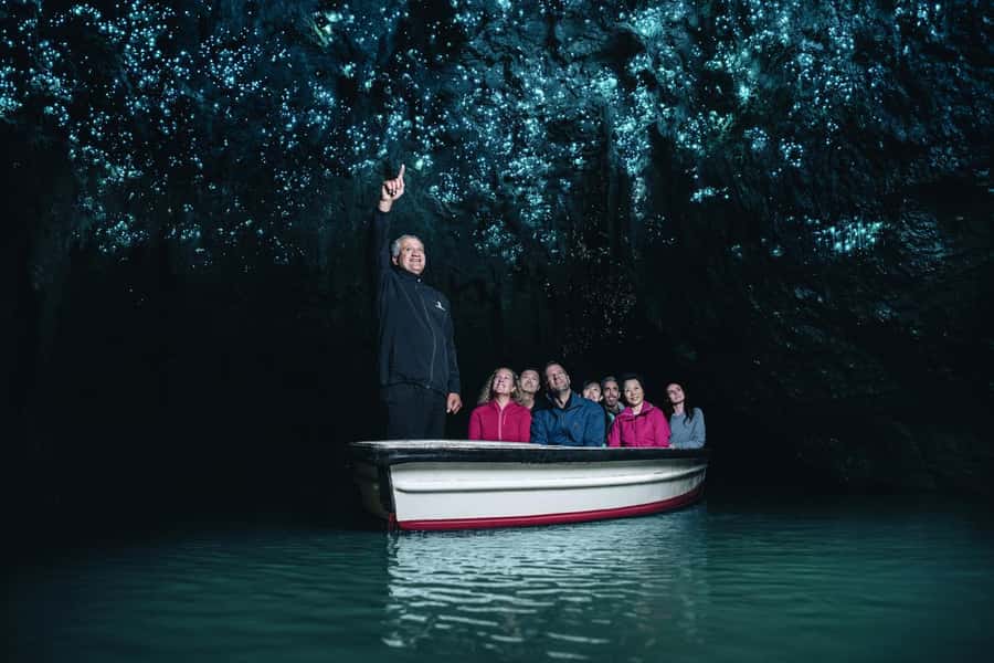 From Auckland: Day Trip to Waitomo Glow Worm Caves - The glowworm boat ride