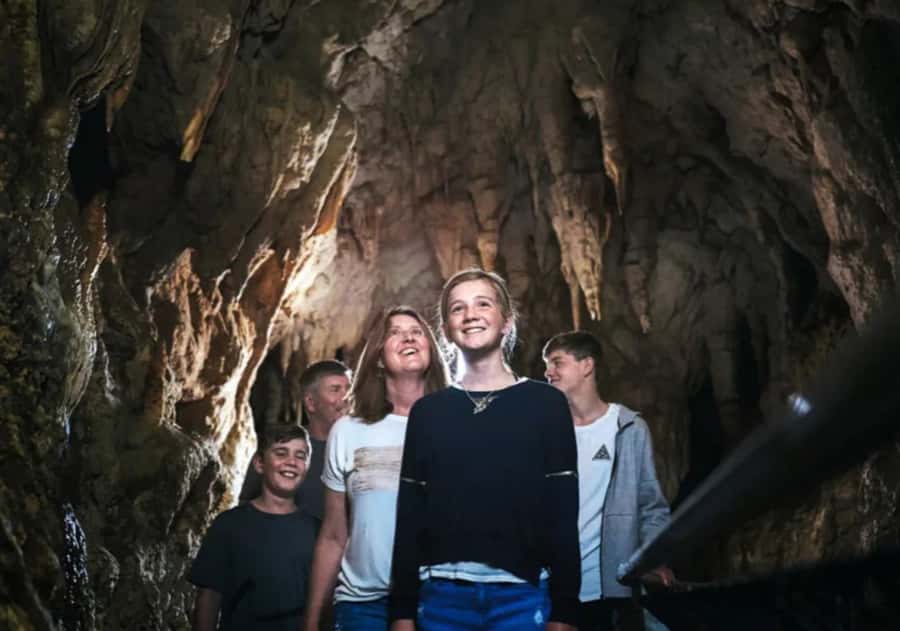 From Auckland: Day Trip to Waitomo Glow Worm Caves - Is $166 a fair price?