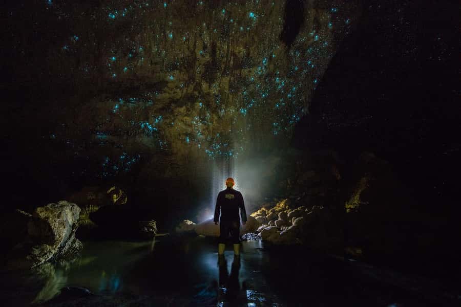 From Auckland: Day Trip to Waitomo Glow Worm Caves - Booking flexibility and practical details