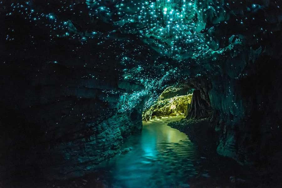 From Auckland: Day Trip to Waitomo Glow Worm Caves - Inside Waitomo Glowworm Cave