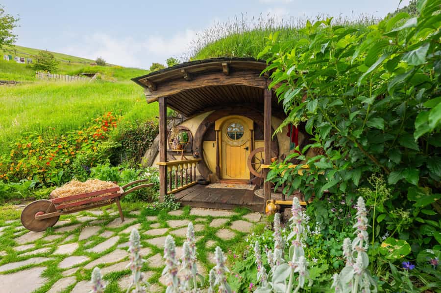 From Auckland: Hobbiton Movie Set Full-Day Trip - Waikato farmland on the way south