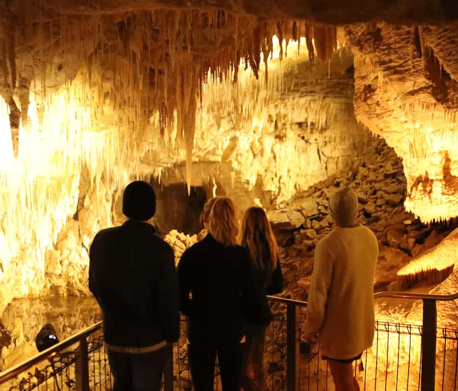 From Auckland: Hobbiton & Waitomo Caves Full-Day Trip - What the long return to Auckland feels like