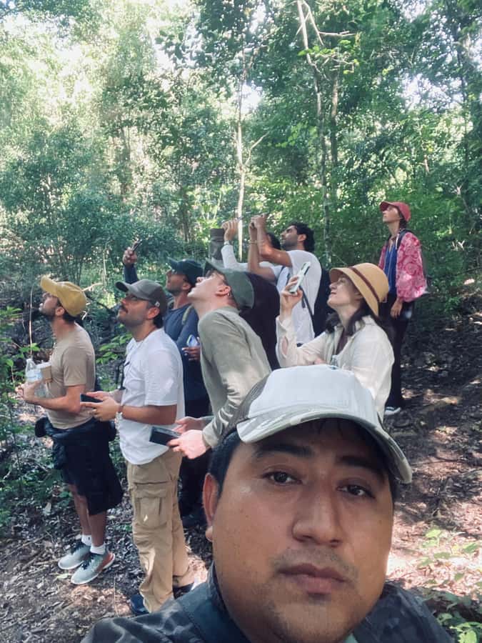 From Bacalar: Calakmul Ruins Expedition & Jungle Trek - A scenic 1.5-hour approach through the reserve