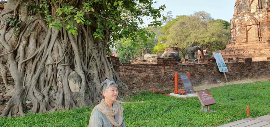 From Bangkok: Ayutthaya & Khao Yai National Park Day Trip - The visitor center and KM 30 Viewpoint