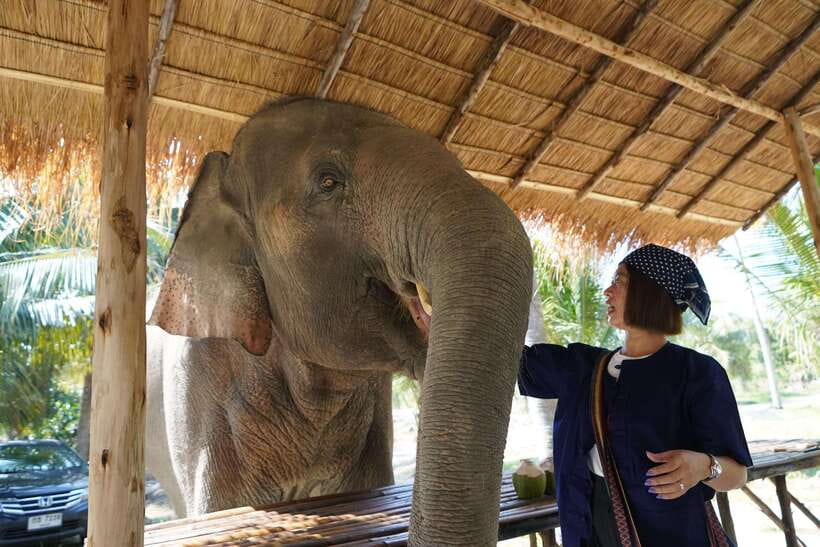 From Bangkok: Living Green Elephant Sanctuary Day Trip - Bathing time, with an honest warning about the water