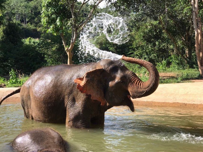 From Bangkok: Pattaya Ethical Elephant Sanctuary Day Trip - Who will enjoy this day trip most?