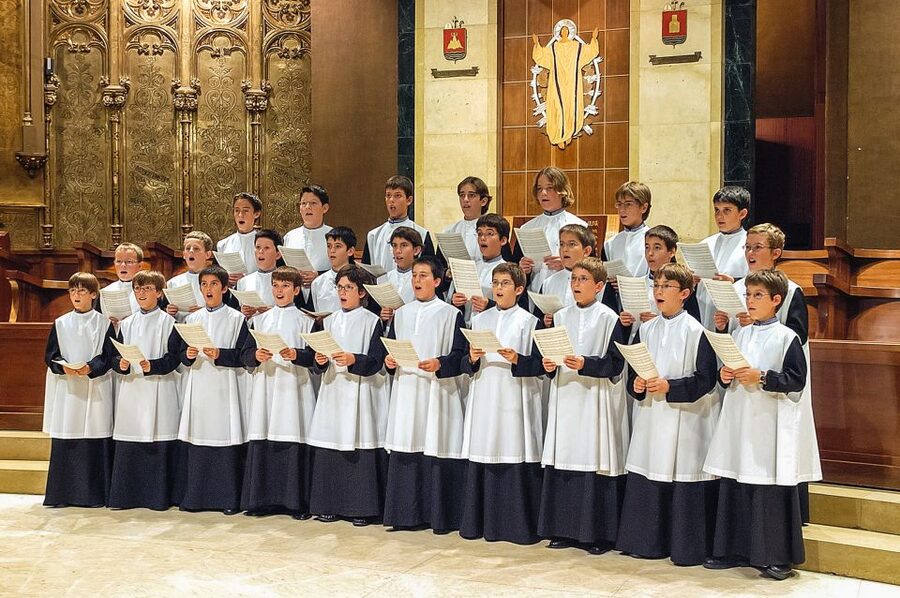 From Barcelona: Montserrat Day Trip with Optional Tickets - Choosing between the choir and the museum