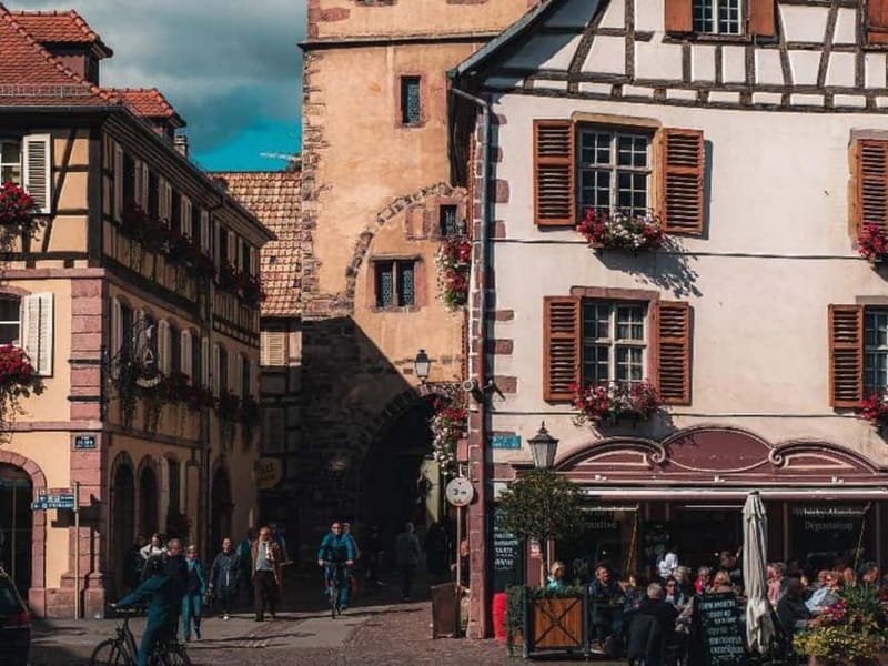 From Basel: day trip to Colmar, Hohkönigsburg, Ribeauvillé - Who will enjoy this route most