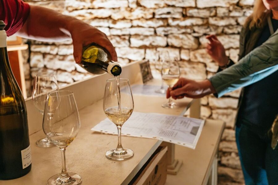 From Beaune: Burgundy Day Trip with 14 Wine Tastings - Key points to know before booking