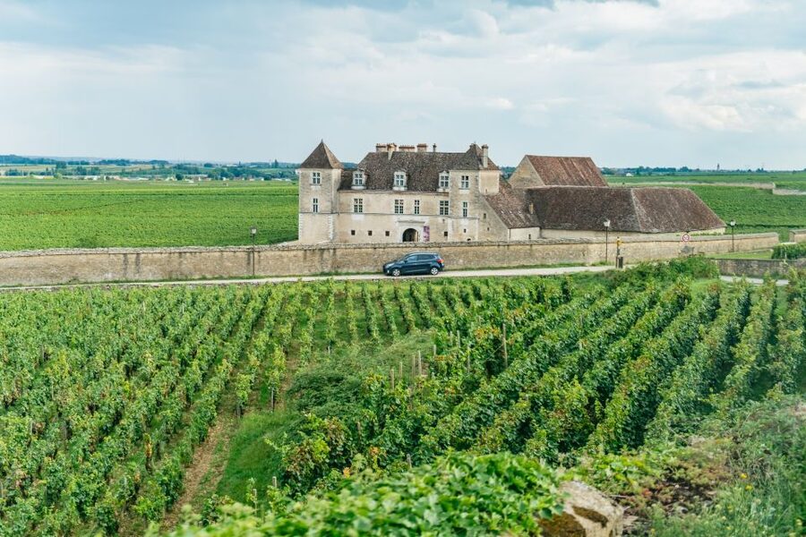 From Beaune: Burgundy Day Trip with 14 Wine Tastings - The first tastings near Beaune