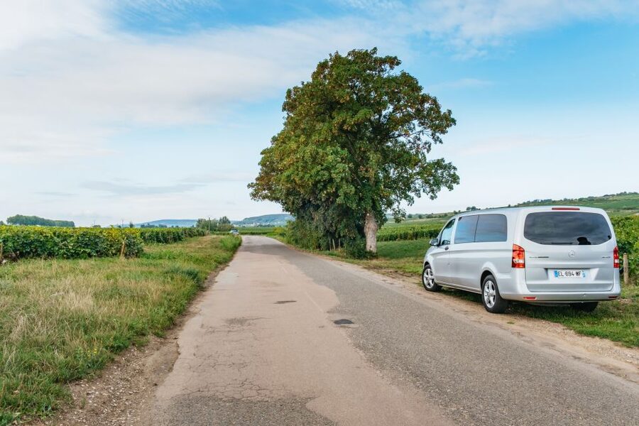 From Beaune: Burgundy Day Trip with 14 Wine Tastings - Lunch with Burgundy on your own budget