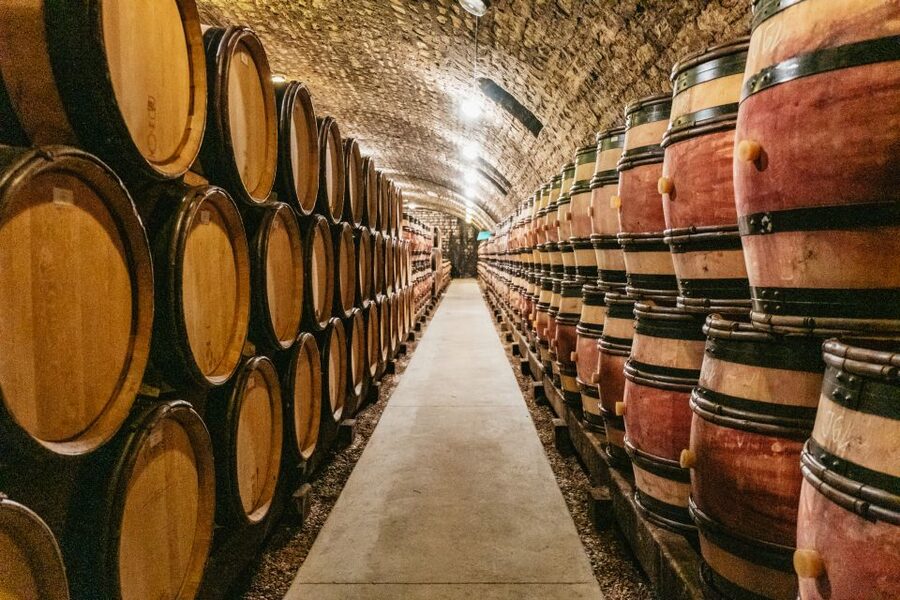 From Beaune: Burgundy Day Trip with 14 Wine Tastings - Nuits-Saint-Georges and the local winemaker