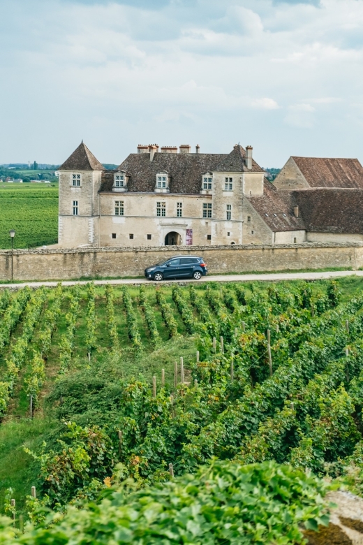 From Beaune: Burgundy Day Trip with 14 Wine Tastings - Starting in Beaune at 9:30 AM