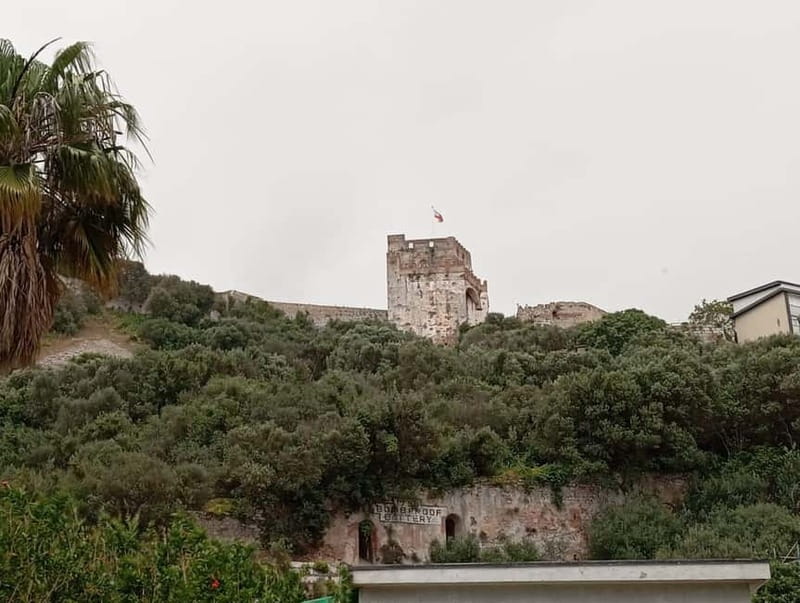 From Benalmadena: Gibraltar Day Trip - Monkeys, caves, and wide views