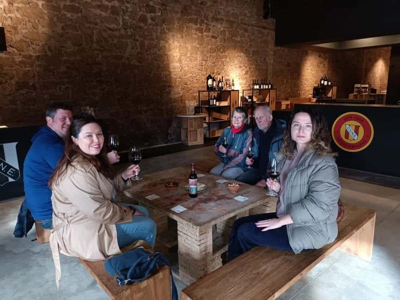 From Bilbao: La Rioja Wineries Day Trip with Wine Tastings - The Marqués de Riscal stop in Elciego
