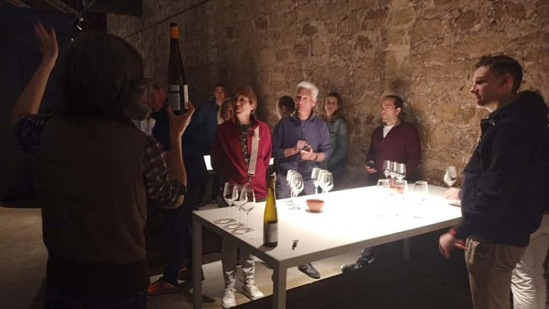 From Bilbao: La Rioja Wineries Day Trip with Wine Tastings - The guide and the rhythm of the day