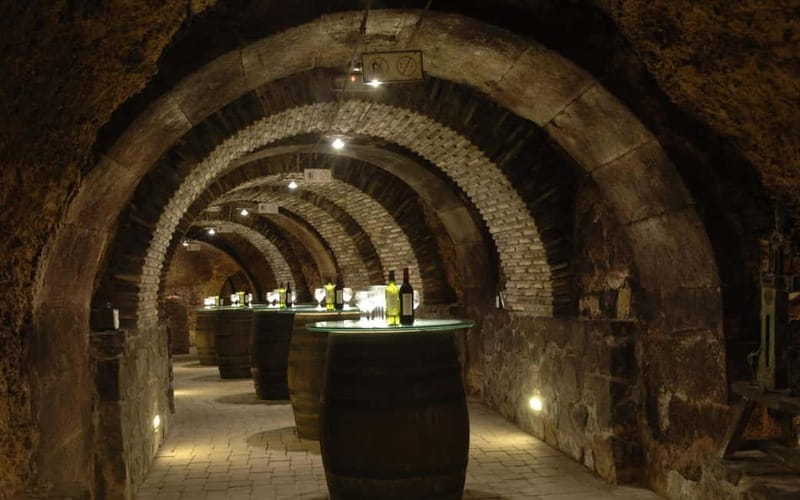From Bilbao: La Rioja Wineries Day Trip with Wine Tastings - CVNE in Haro, Rioja’s wine capital