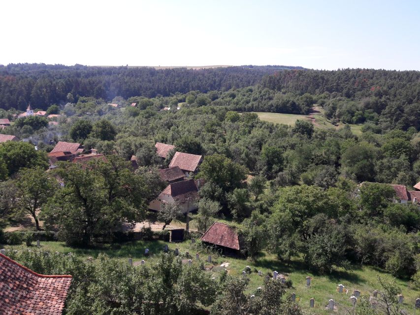 From Brasov: Sighisoara, Viscri, and Rupea Unesco Day Trip - Key points to know before you book