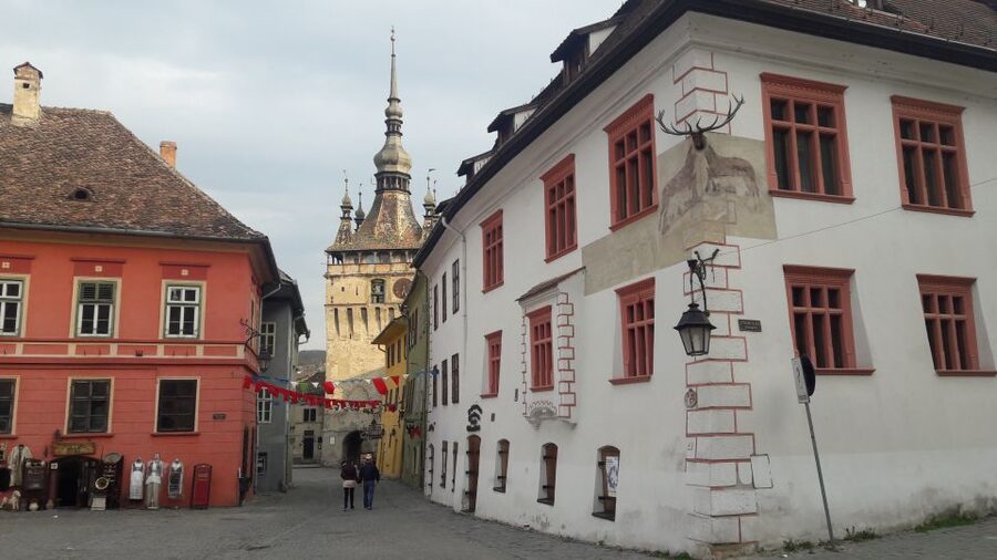 From Brasov: Sighisoara, Viscri, and Rupea Unesco Day Trip - Viscri, the white church, and a taste of palinca