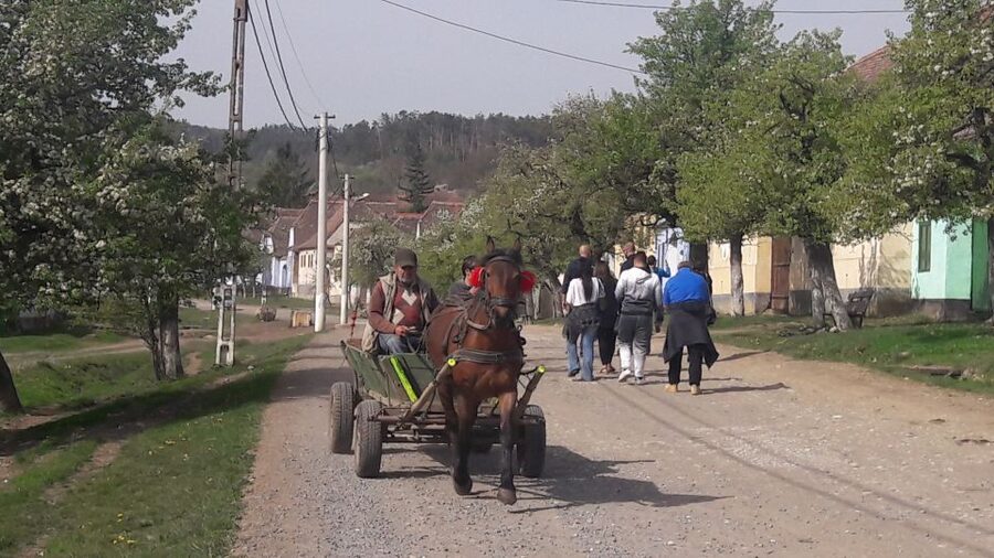 From Brasov: Sighisoara, Viscri, and Rupea Unesco Day Trip - Sighisoara in three hours