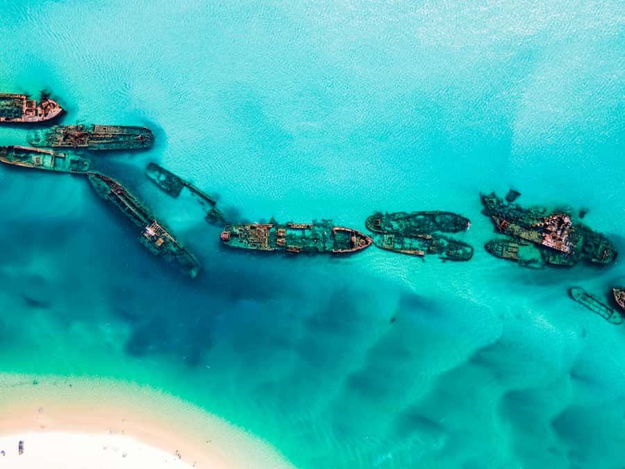 From Brisbane: Moreton Island Full-Day Trip - Key points to know before booking