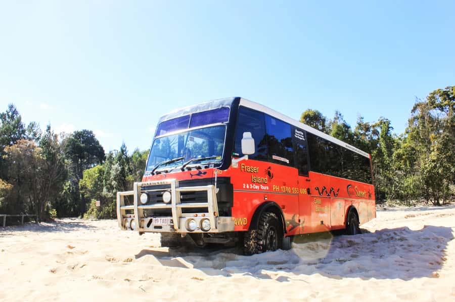 From Brisbane: Moreton Island Full-Day Trip - Lunch on the beach, with little fuss