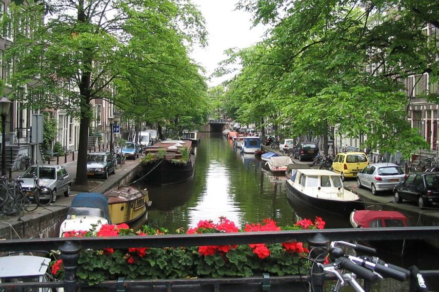 From Brussels: Cheese, Clogs & Windmills Amsterdam Day Trip - Who will enjoy this day trip most?