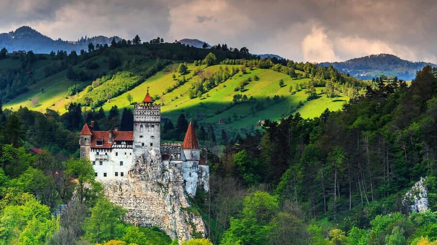 From Bucharest: Castles, Carpathians, and Brașov Day Trip - What the guide actually does