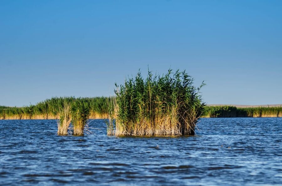 From Bucharest: Day Trip to Danube Delta - Pickup, Drop-Off, and the Practical Details