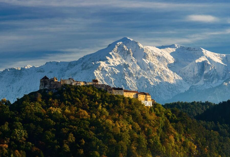 From Bucharest: Day Trip to Dracula and Peles Castle - Lunch, questions, and the human side of the tour