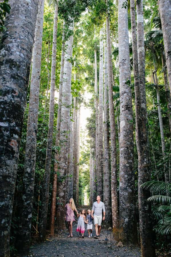 From Cairns: Atherton Tablelands and Paronella Park Day Trip - Why this Tablelands day trip works