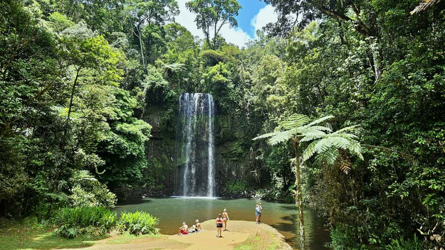 From Cairns: Atherton Tablelands and Paronella Park Day Trip - Lake Barrine and a proper morning tea