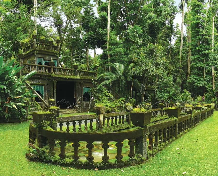 From Cairns: Atherton Tablelands and Paronella Park Day Trip - Yungaburra and the strange Curtain Fig Tree