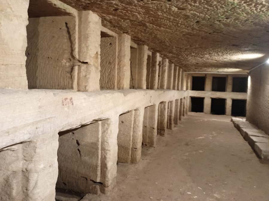 From Cairo: Private Luxurious Day Trip to Alexandria - Is $192 a fair price?