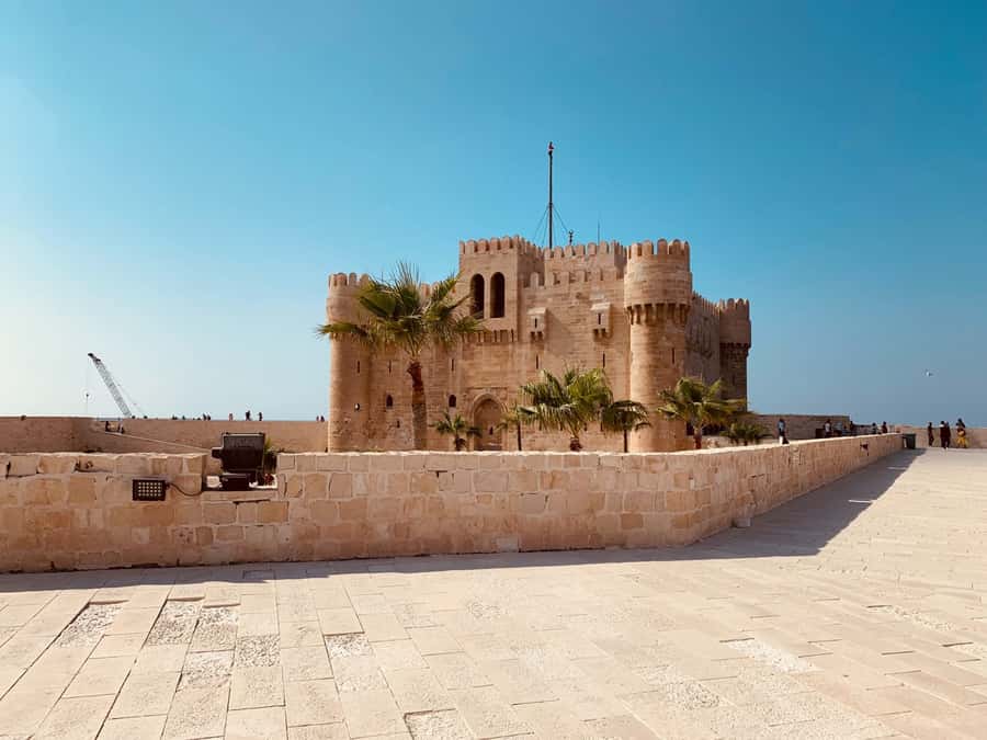 From Cairo: Private Luxurious Day Trip to Alexandria - The 137-mile ride from Cairo