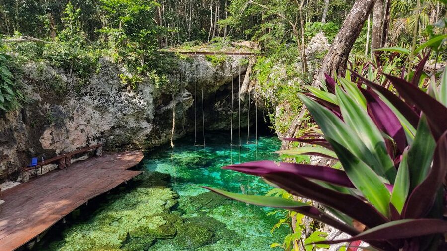 From Cancun: Day Trip to Tulum, Cenote & Playa del Carmen - Quinta Avenida and two hours in Playa del Carmen
