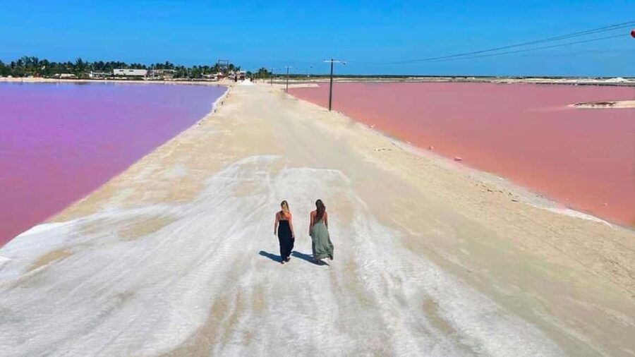 From Cancún: Rio Lagartos & Las Coloradas Day Trip & Lunch - The Río Lagartos boat ride and wildlife